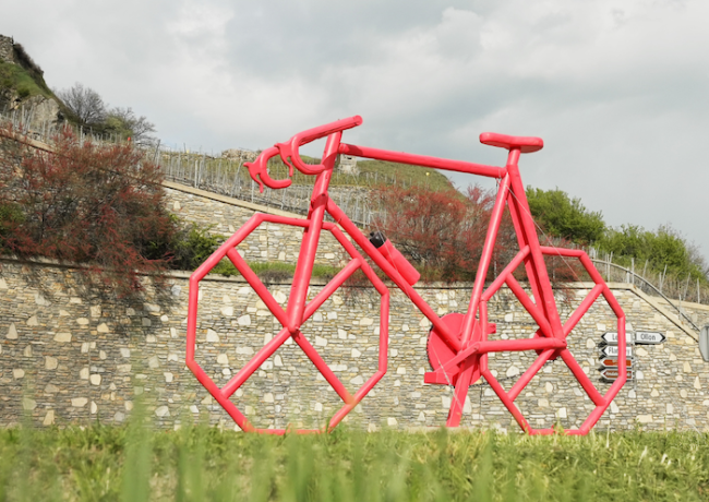 342830068 939154373891490 6595087731615346471 n