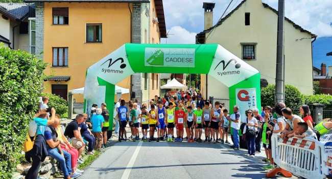 CADDESE1