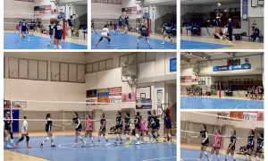 IMG 7758 2