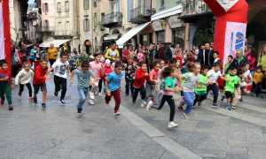 IMG 8768A