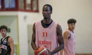 Niang omb