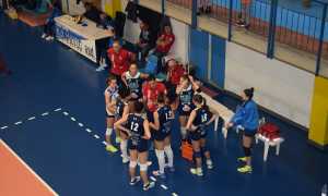 Plzola Pavic