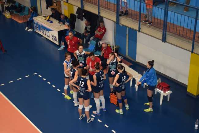 Plzola Pavic
