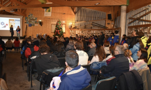 Screenshot 2024 12 29 alle 18.31.34