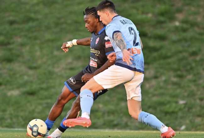 albinoleffe novara