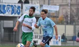 arona trino