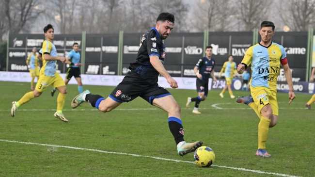 arzignano novara