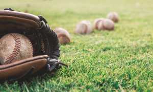 baseball palla guantone