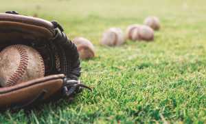 baseball palla guantone