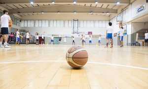 basket pallone