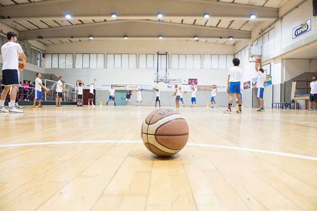 basket pallone