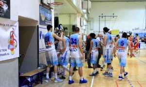 basket vinavil