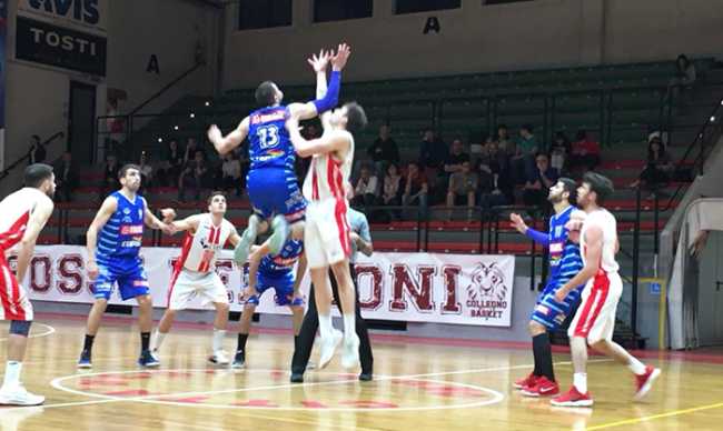 basket vinavil palla