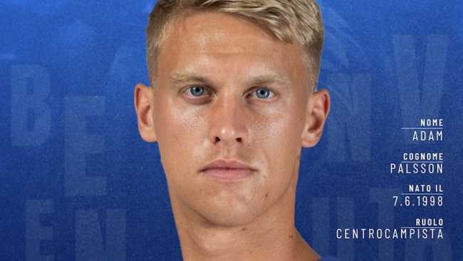 benvenuto palsson