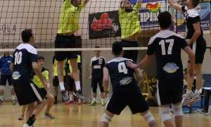 bistrot volley