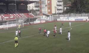 borgos goz