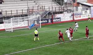 borgoses vb tre