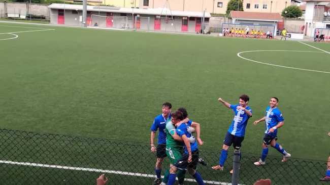 briga vitt 1