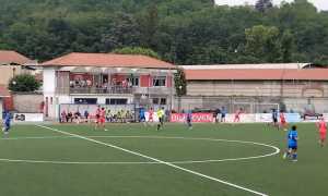 briga vitt 3