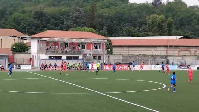 briga vitt 3