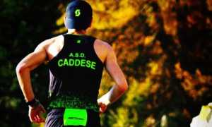 caddese
