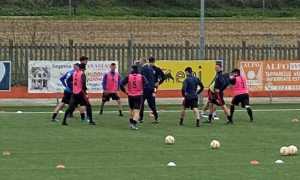 calcio borgovercelli