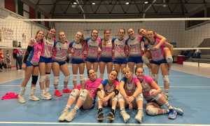 canavese mokavit