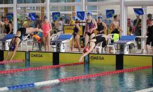 csi nuoto