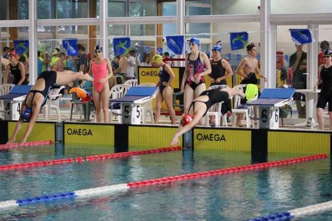 csi nuoto