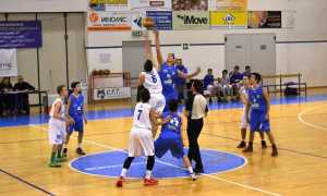 domo basket