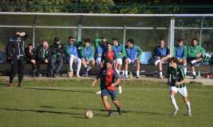 dufour accademia