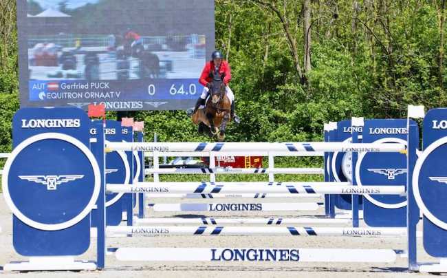 equitaz gorla 