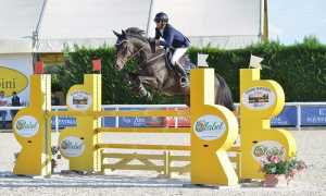 equitazione
