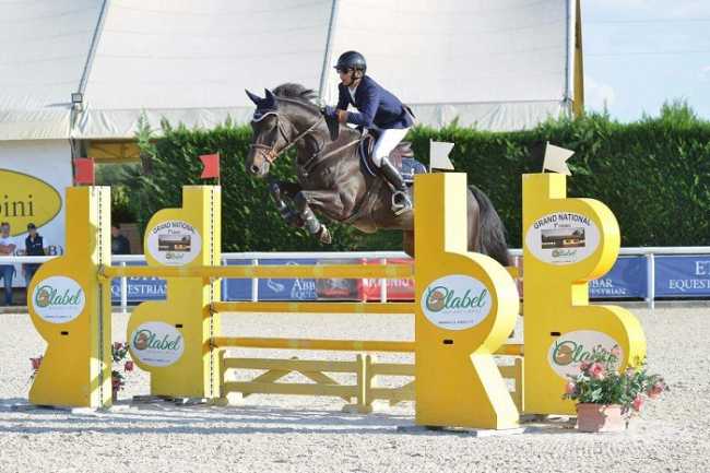 equitazione