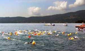 fenice laghi 18