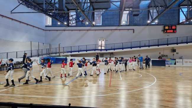 fun kids novara 