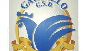 gargallo calcio