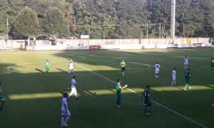 gozzano azione