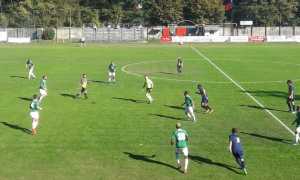 gozzano casale