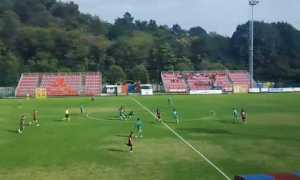 gozzano novaromentin