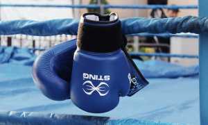 guantoni boxe