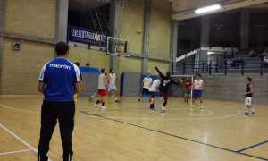 lalucciola basket