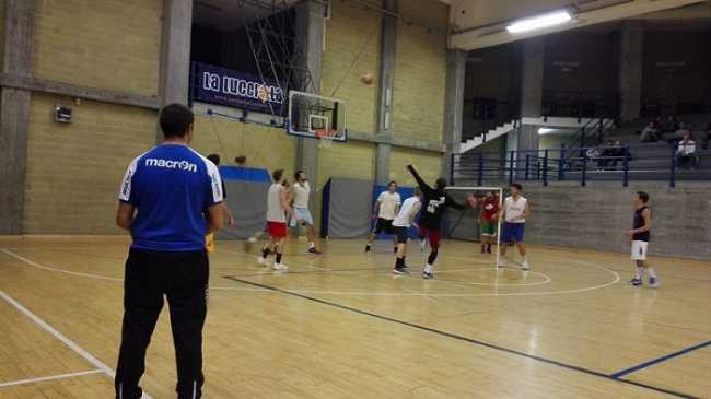 lalucciola basket