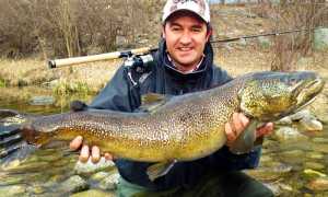 max ghibaudo pesce pesca