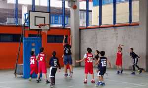 minibasket