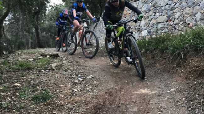 mountain bike