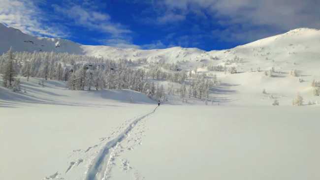 neve paesaggio