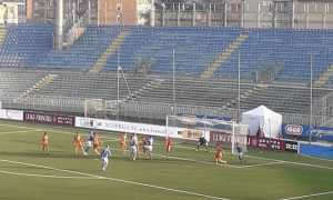 novara albinol