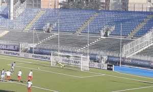 novara gelbison 1