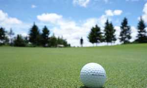 palla golf campo